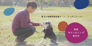Colors Dog