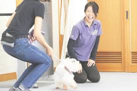 DOGGY FRIENDS