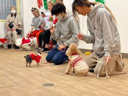犬の保育園&介護デイサービス ペッパーハウス