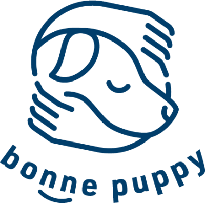 bonne puppy ＋ 立売堀店