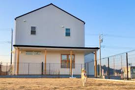 dog.A