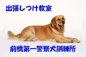 前橋第一警察犬訓練所