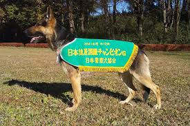 前橋第一警察犬訓練所