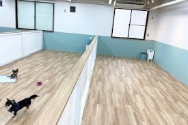 犬のための幼稚園 bonne puppy 森ノ宮店