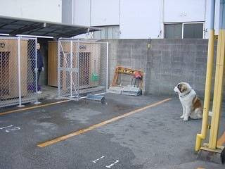 犬のしつけ110番