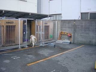 犬のしつけ110番