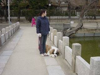 犬のしつけ110番