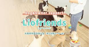 Dog&Owner support Liofriends