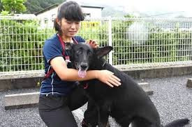 羽島警察犬愛犬大野訓練所