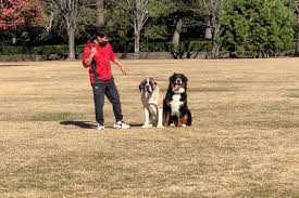 Dog Libre【出張専門】