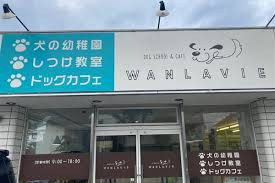 DOG School WANLAVIE