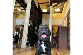 Dog station hakobune