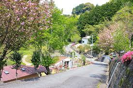 熊本県ペット総合葬祭会館　植木ペット霊園