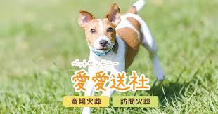 愛愛送社
