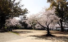 延岡城跡・城山公園