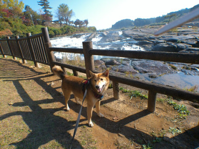 曽木の滝公園