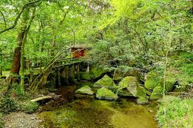 慈眼寺公園
