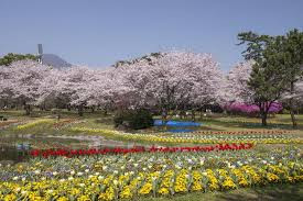 別府公園