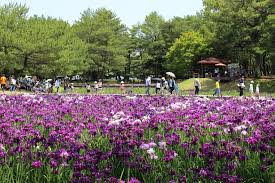 阿波岐原森林公園市民の森