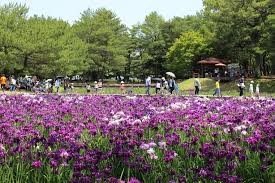 阿波岐原森林公園市民の森