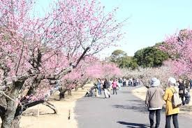 阿波岐原森林公園市民の森