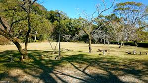 舞鶴公園