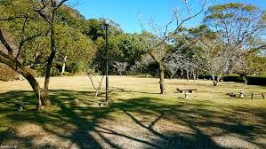 舞鶴公園