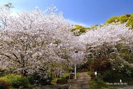 不動公園