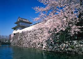 大分城址公園