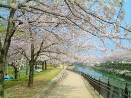 大分城址公園