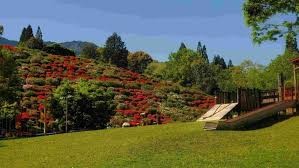 牧水公園