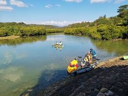 東村ふれあいヒルギ公園