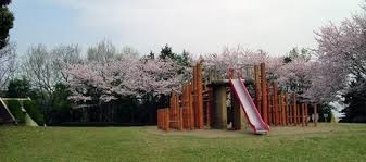 高尾山自然公園
