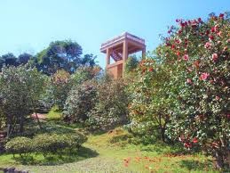 宮崎市椿山森林公園