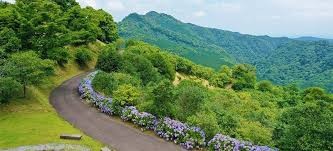 宮崎市椿山森林公園