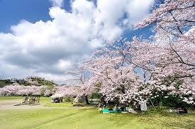 丸岡公園