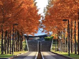 日本へそ公園