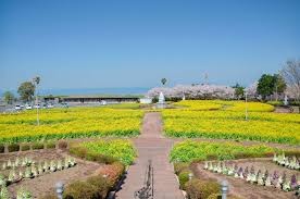 有明の森フラワー公園