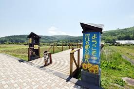 山中湖 花の都公園