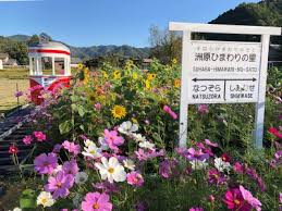 洲原ひまわりの里