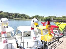 鞍ケ池公園