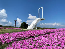びわこ箱館山