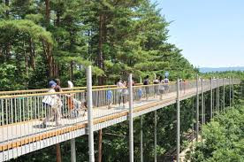 国営アルプスあづみの公園(大町・松川地区)
