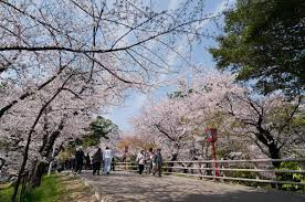 岡崎公園