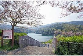 昭和池公園