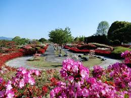 久留米百年公園
