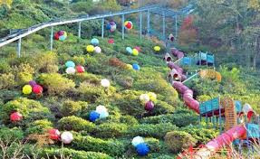 高取山公園
