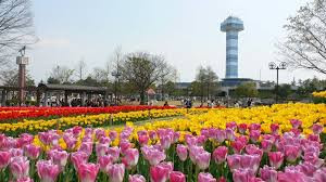 国営木曽三川公園 木曽三川公園センター