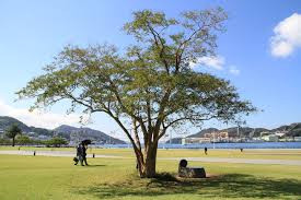 長崎水辺の森公園