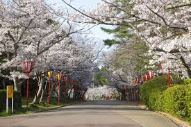 日岡山公園